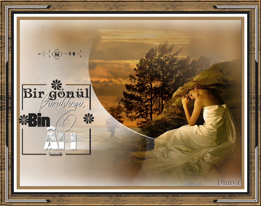 bir-gonul-buruklugu html sayfa