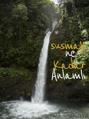 susmak-ne-kadar-anlamli html sayfa