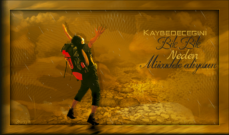 kaybedecegini-bile-bile html sayfa