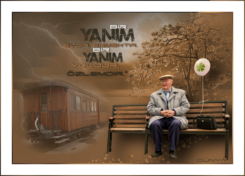 bir-yanim html sayfa