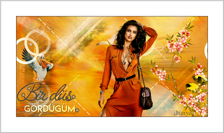 bir-dus-gordugum