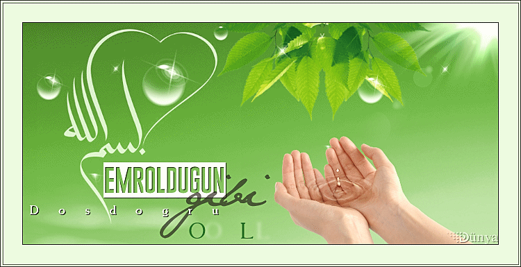 emroldugun-gibi-ol html sayfa